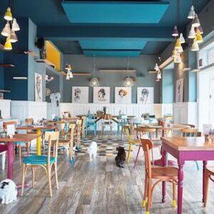 romeow_cat_bistrot_rome