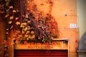 ai_tre_scalini_wine_bar_in_rome