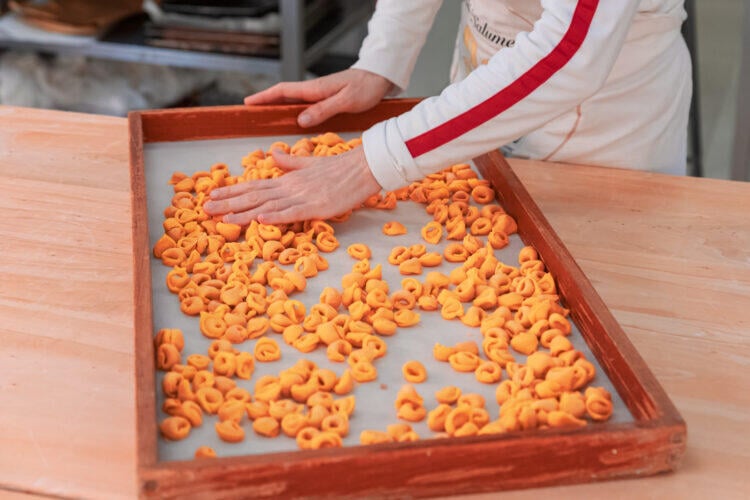 Eating Bologna Food & Wine Tour