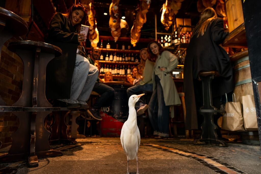 Titi-Barcelona-bomba-de-barceloneta-perikete-food-tour