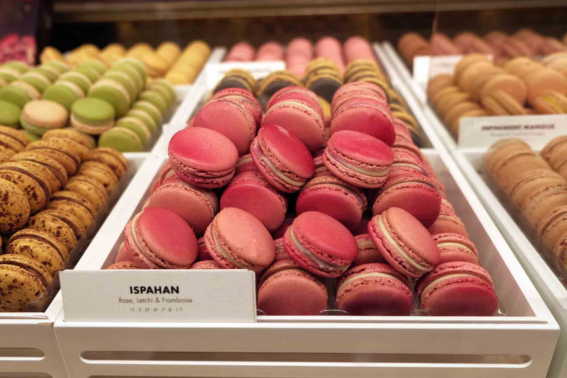 pink_macarons_Pierre_Hermé_Paris
