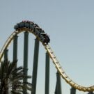 luzsierra2004 Avatar