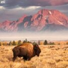 Excursion12995642661 Avatar